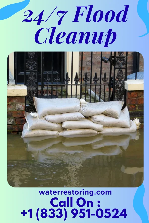 24/7 Flood Cleanup in Lincoln, AL