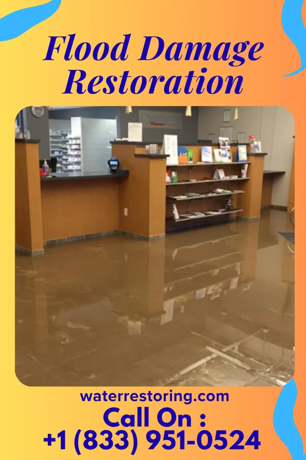 Flood Damage Restoration in Lincoln, AL