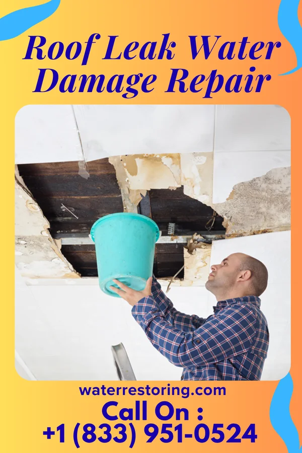 Roof Leak Water Damage Repair in Lincoln, AL